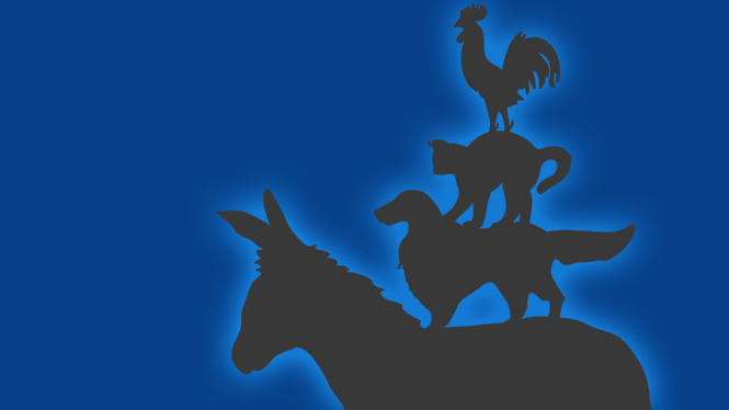 Veterinary Medicine